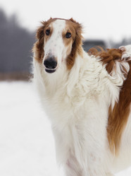 Similar image 2024218