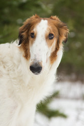 Similar image 2024220