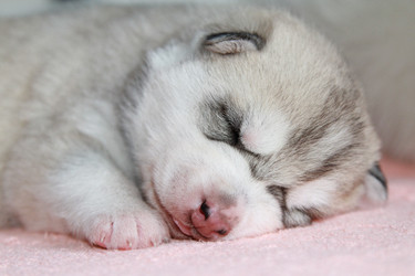 Similar image 2024221