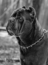 Similar image 2024224