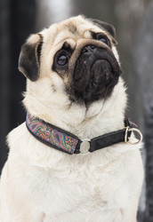 Similar image 2024225