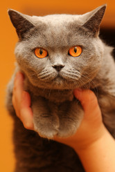 Similar image 2024347