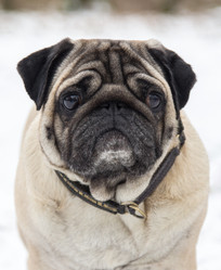 Similar image 2024348