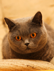 Similar image 2024351