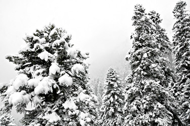 Similar image 2024730