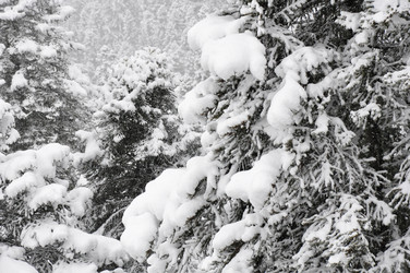 Similar image 2024731