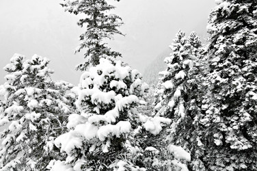 Similar image 2024733