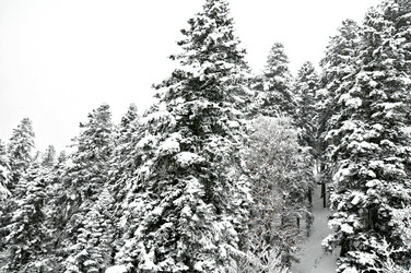 Similar image 2024734