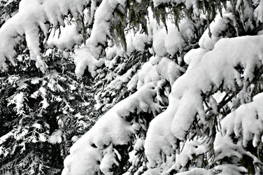 Similar image 2024741