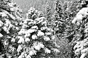 Similar image 2024743