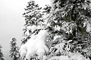 Similar image 2024744