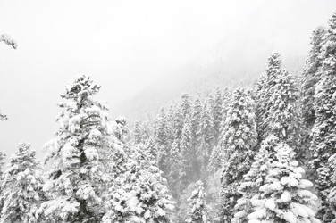 Similar image 2024746