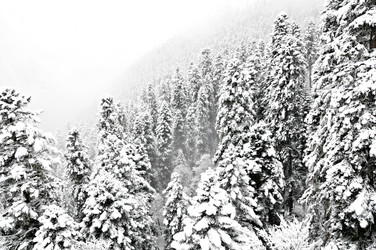 Similar image 2024748