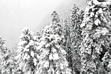 Similar image 2024750