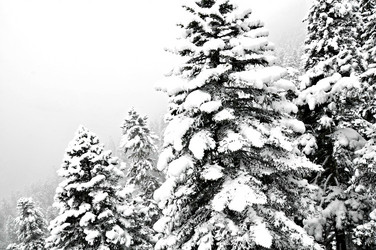 Similar image 2024794