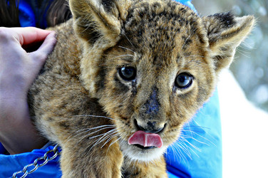 Similar image 2024797