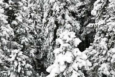 Similar image 2024801