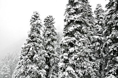 Similar image 2024802