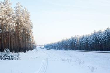 Similar image 2024803