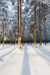 Similar image 2024805