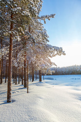 Similar image 2024815