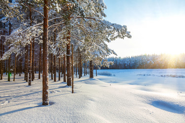 Similar image 2024817