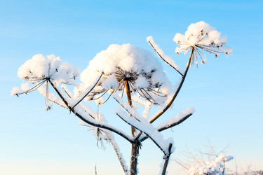 Similar image 2024819