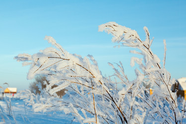 Similar image 2025038