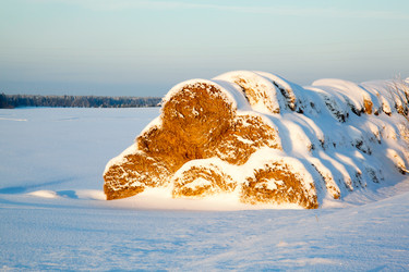 Similar image 2025043