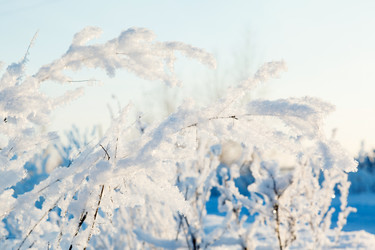 Similar image 2025051