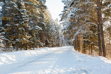 Similar image 2025055