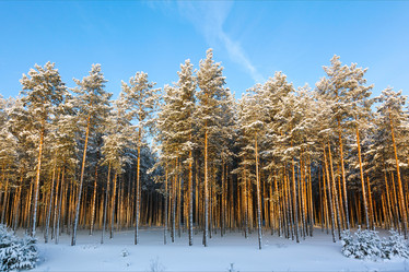 Similar image 2025059