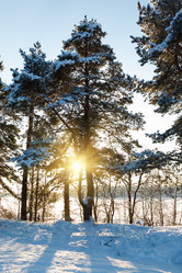 Similar image 2025060