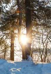 Similar image 2025062