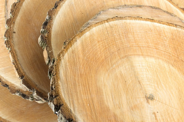 Similar image 2025067