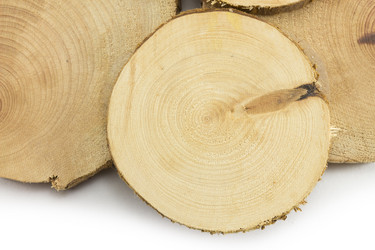 Similar image 2025119