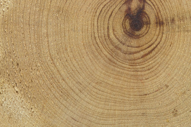 Similar image 2025122