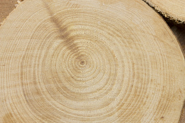 Similar image 2025124