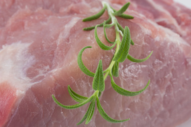 Similar image 2025146