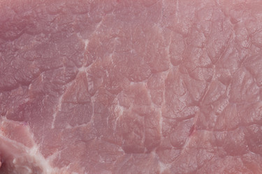 Similar image 2025187