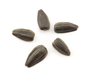 Similar image 2025189