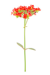 Similar image 2025191