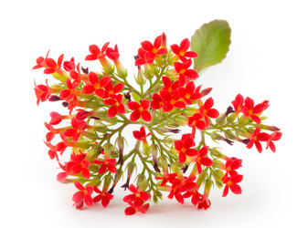 Similar image 2025195