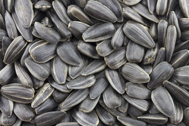 Similar image 2025200