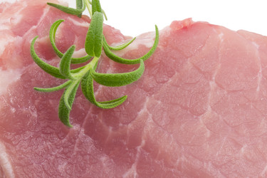 Similar image 2025203