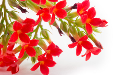 Similar image 2025244