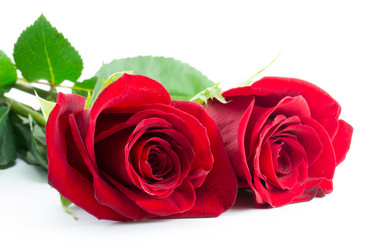 Similar image 2025252