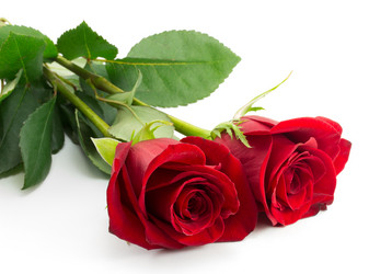 Similar image 2025254