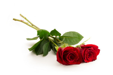 Similar image 2025255