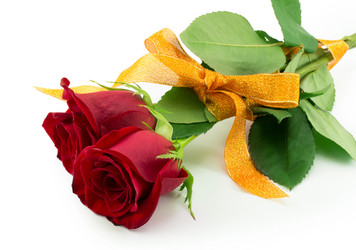 Similar image 2025299